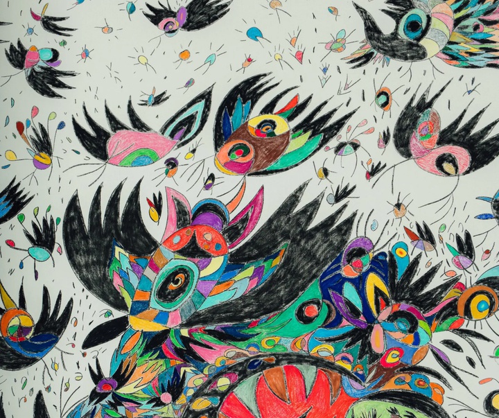 گالری تصویرسازی‌های تادسکیا از برزیل