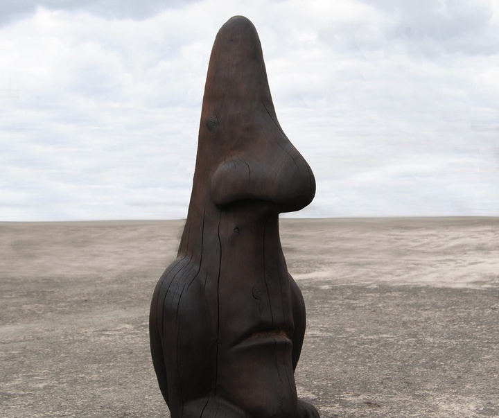 گالری آثار حجم آندرس آگیره از اکوادور