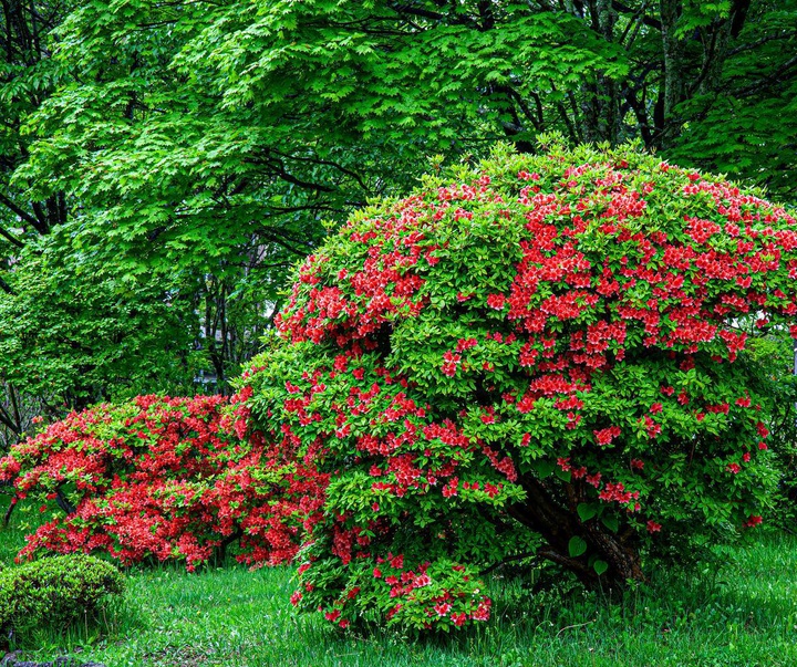 گالری آثار عکس های صادق میری از ایران