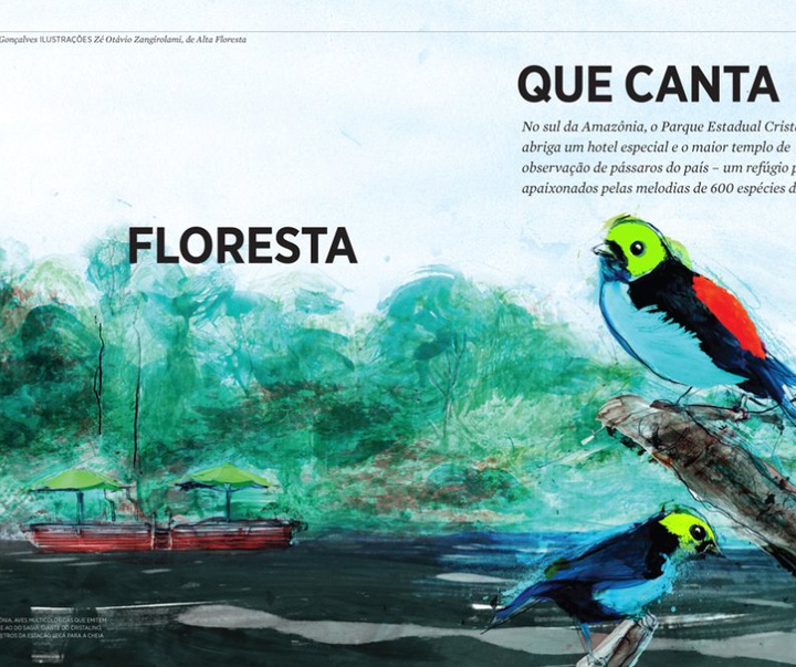 گالری آثار تصویرسازی زی اوتاویو از برزیل - قسمت اول