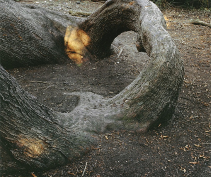 گالری آثار عکاسی گرگوری هالپرن از آمریکا