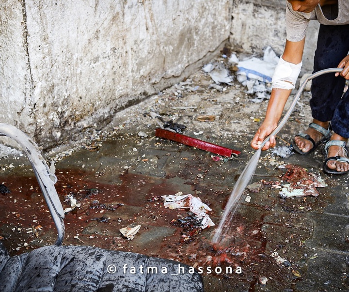 گالری عکس‌های فاطمه حسونا از فلسطین