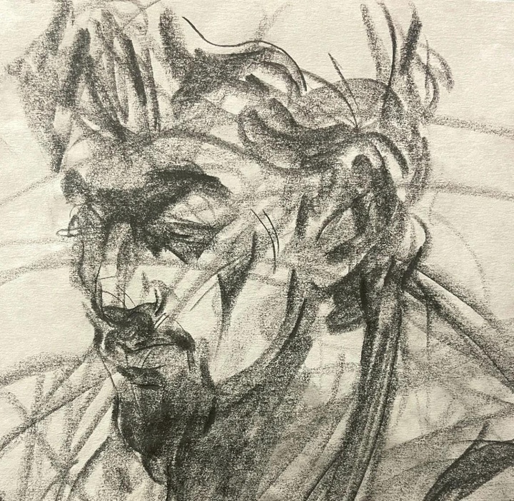 گالری طراحی های کیمیا پاکار از ایران