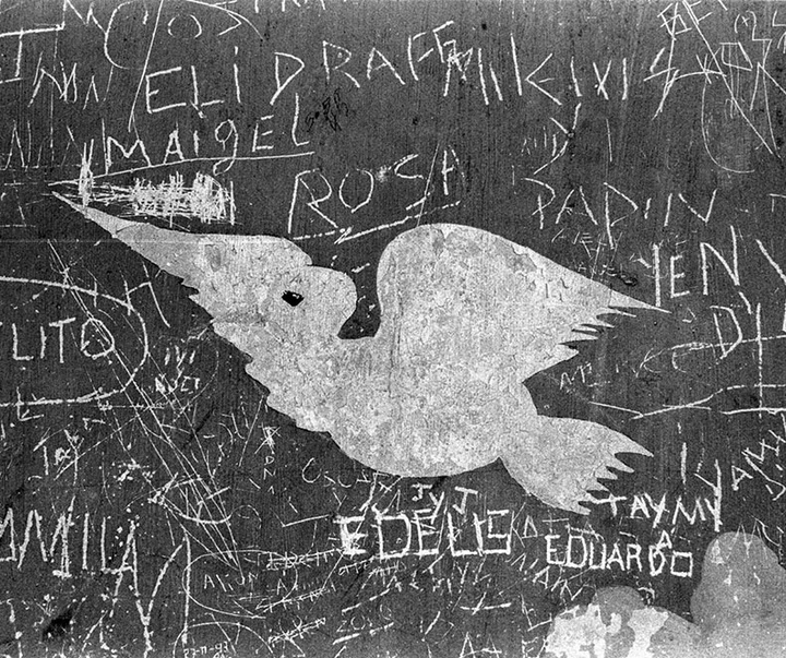 گالری آثار عکاسی داماریس بتانکور از کوبا