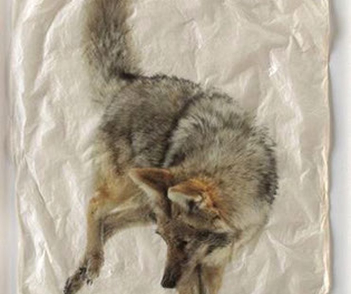 گالری نقاشی‌های پیت زالوزک از آمریکا