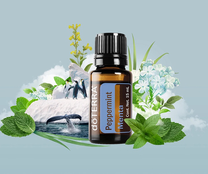 گالری تصویرسازی‌های گیرمو فلورس پاچکو از مکزیک