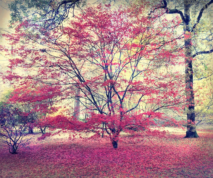 گالری عکس های بری کاوستون از انگلیس