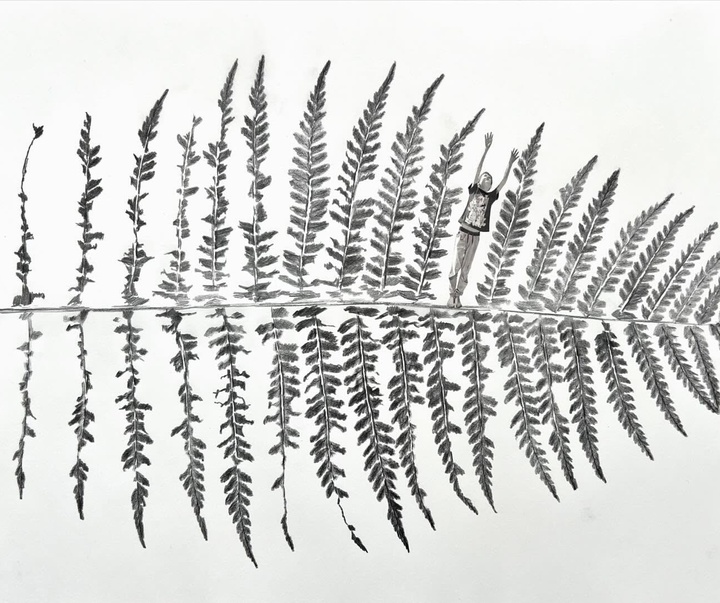 گالری آثار طراحی و نقاشی مرل فابین از فرانسه