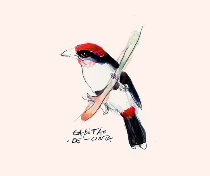 گالری آثار تصویرسازی زی اوتاویو از برزیل - قسمت اول