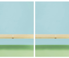 گالری عکس‌های ویلیام وگمن از آمریکا