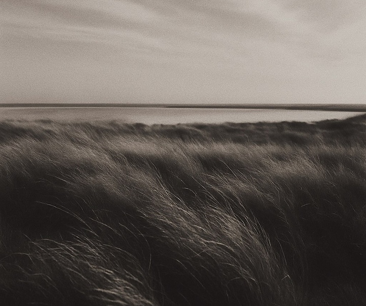 گالری عکس های ریچل برنن از فرانسه