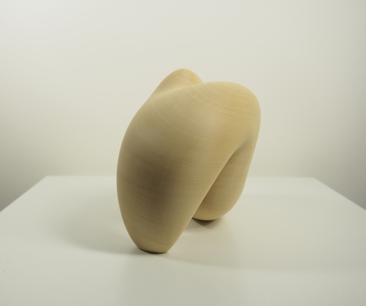 گالری آثار حجم مایک ساساکی از کانادا