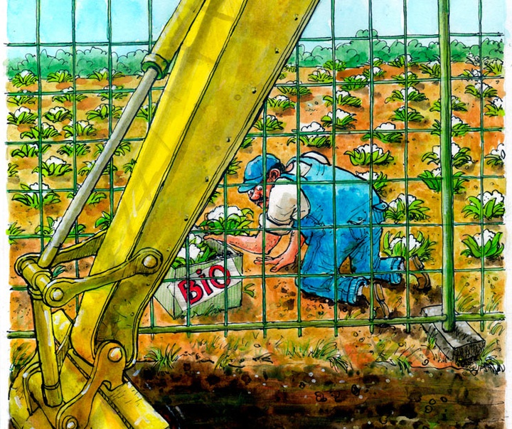 گالری آثار کارتون لوک ورنیمن از بلژیک