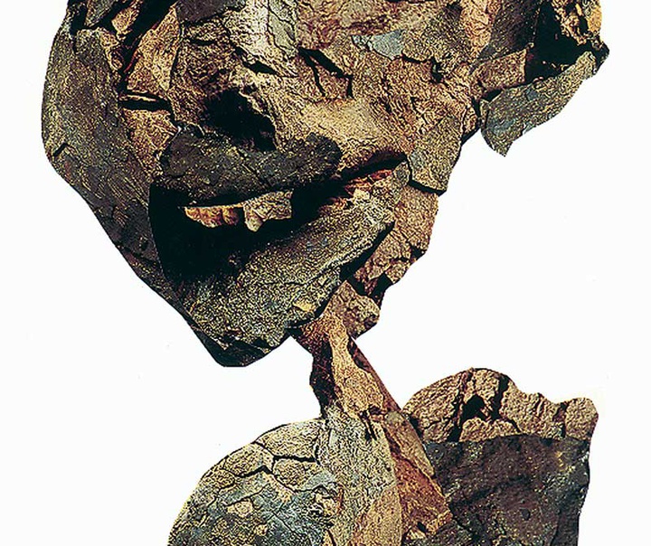 مسعود شجاعی طباطبایی