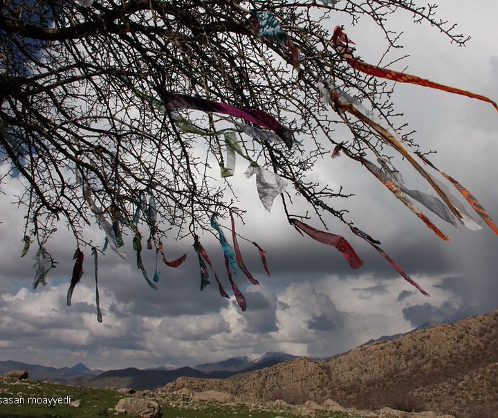 ساسان مؤیدی