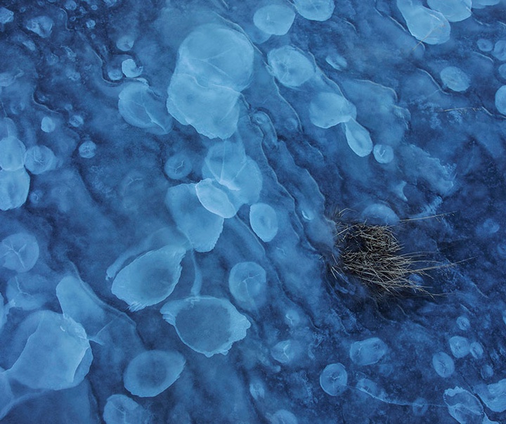 گالری آثار عکاسی لالو د آلمیدا از برزیل - قسمت دوم