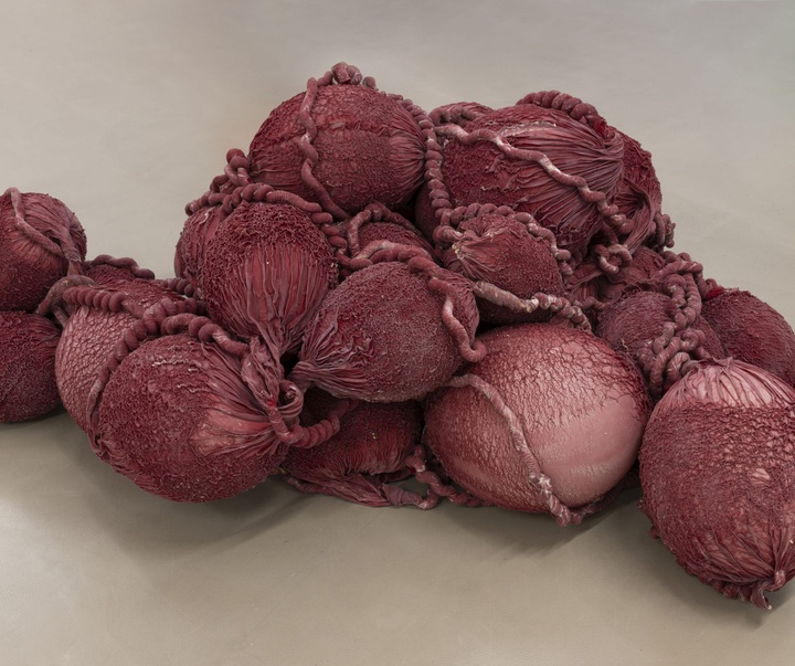 گالری آثر چیدمان و حجم اوا فابرگاس از اسپانیا