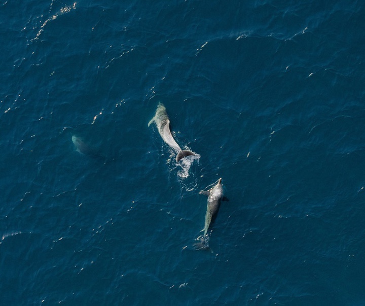 گالری منتخبی از آثار عکاسی هنرمندان برزیلی