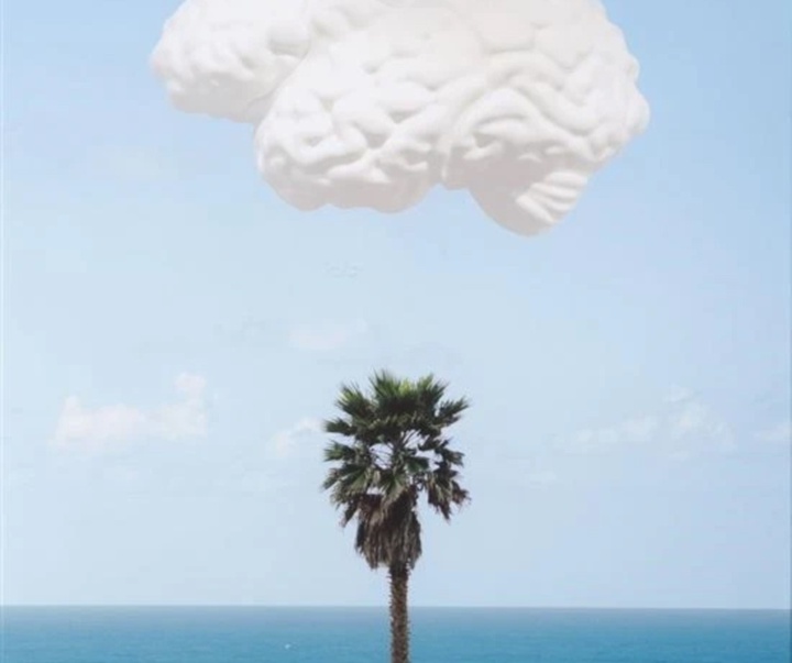 گالری آثار عکاسی جان بالدساری از آمریکا