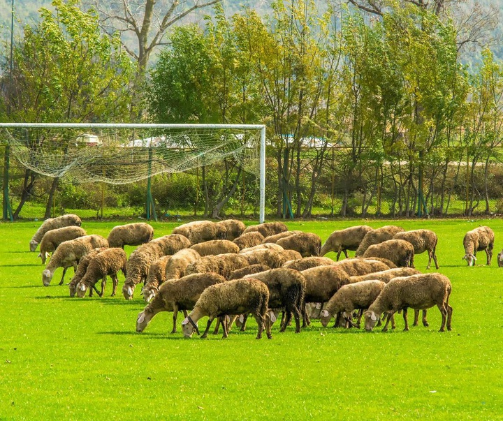 گالری عکس‌های یاکوپ گوکر از ترکیه