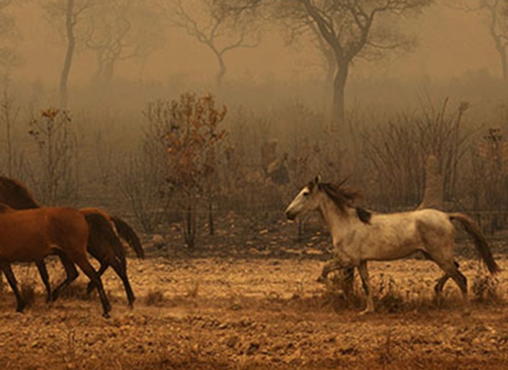 گالری آثار عکاسی لالو د آلمیدا از برزیل - قسمت اول
