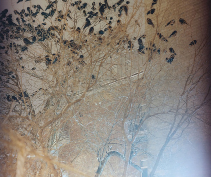 گالری آثار عکاسی گرگوری هالپرن از آمریکا