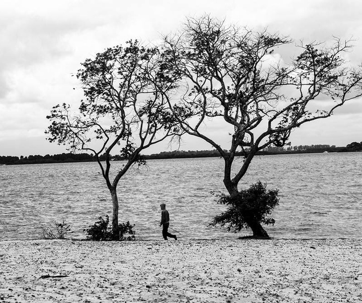 گالری آثار عکاسی لوئیس مدیچی از آرژانتین