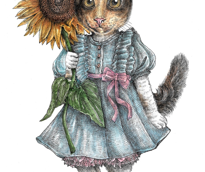 گالری آثار تصویرسازی نیکول بوستامانته از برزیل