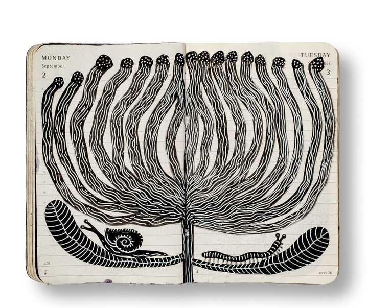 گالری تصویرسازی های پپ کاریو از اسپانیا