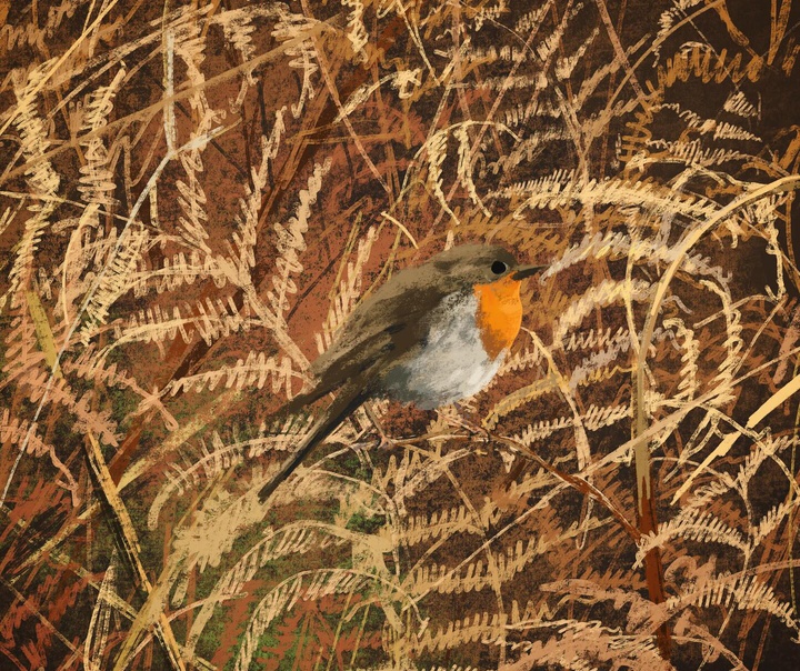 جنی بلومفیلد