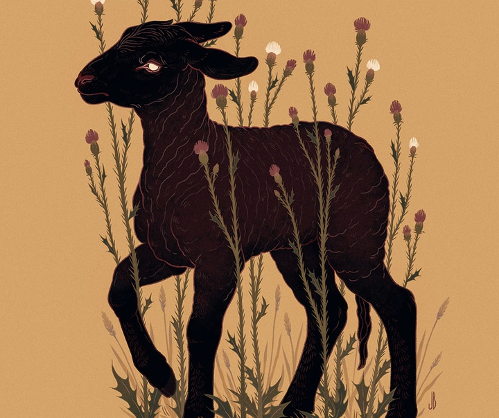 گالری آثار تصویرسازی جنا بارتون از آمریکا