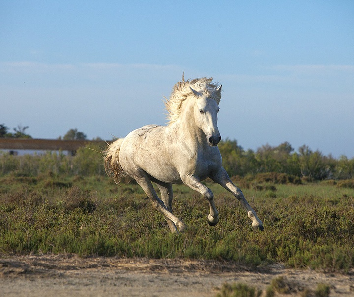 گالری آثار عکاسی جیم زاکرمن از برزیل - قسمت دوم