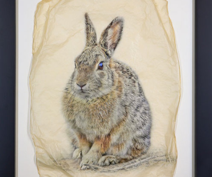 گالری نقاشی‌های پیت زالوزک از آمریکا