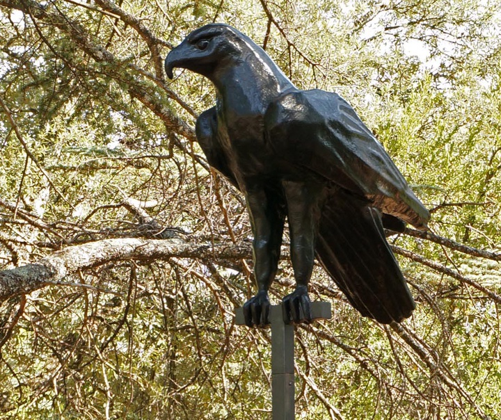 سیریل آندره