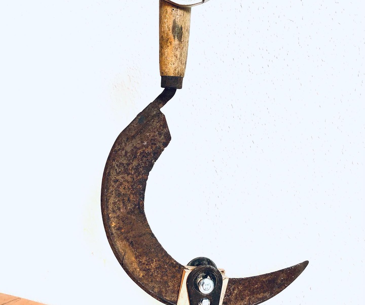 گالری مجسمه های ضایعاتی از ویه ورک