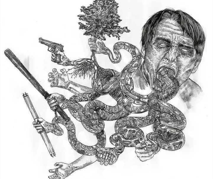 گالری آثار تصویرسازی نیکول بوستامانته از برزیل