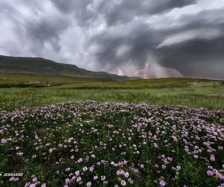گالری عکس های نیما جبرائیلی از ایران
