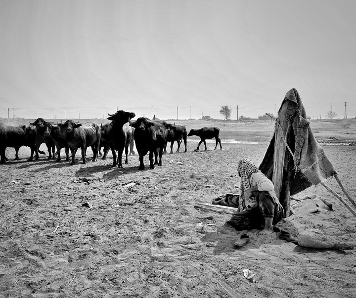 گالری عکس های یعقوب حضوری از ایران