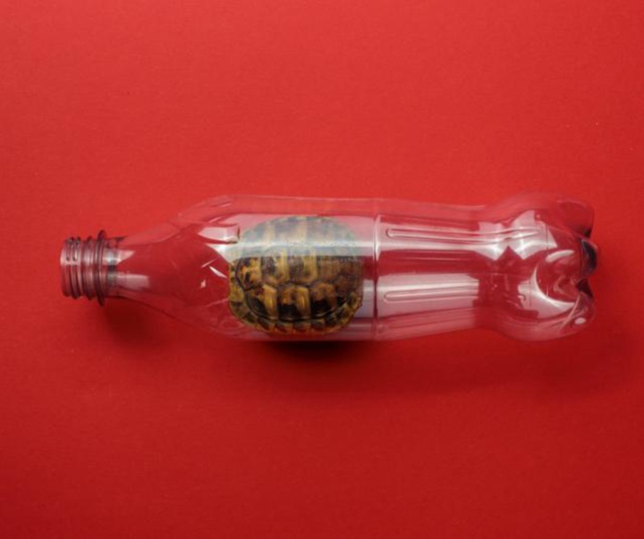 گالری عکس‌های وولف سیلوری از اتریش