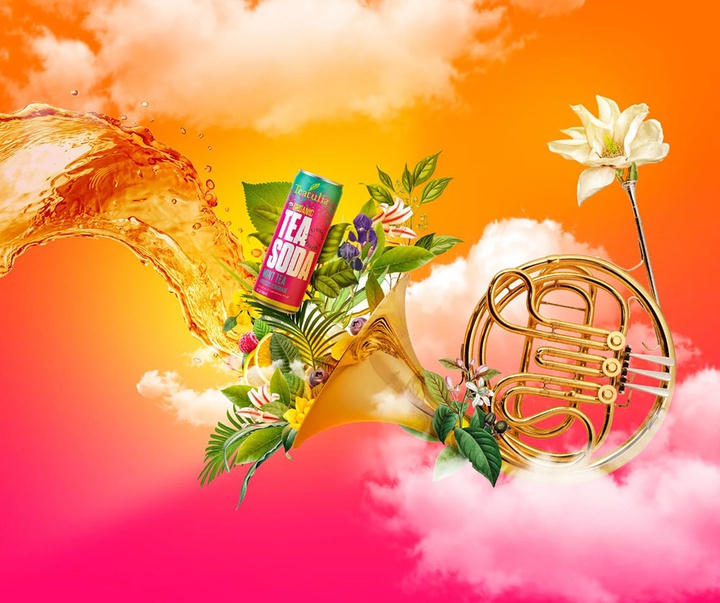 گالری تصویرسازی‌های گیرمو فلورس پاچکو از مکزیک