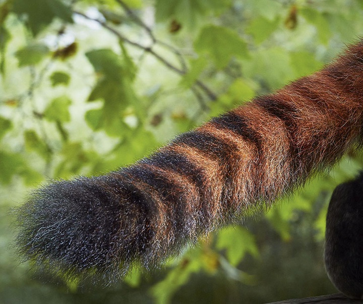 گالری عکس‌های خلاقانه تیم فلچ از بریتانیا