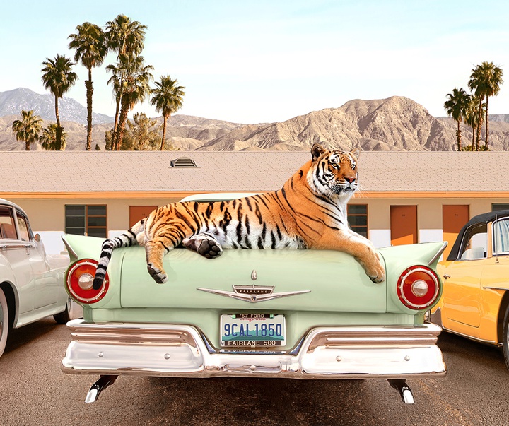 گالری آثار عکاسی پاول فوئنتس از بریتانیا