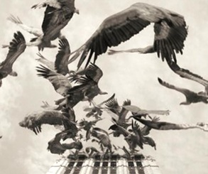 گالری آثار عکاسی اوریول یولانچ از اسپانیا