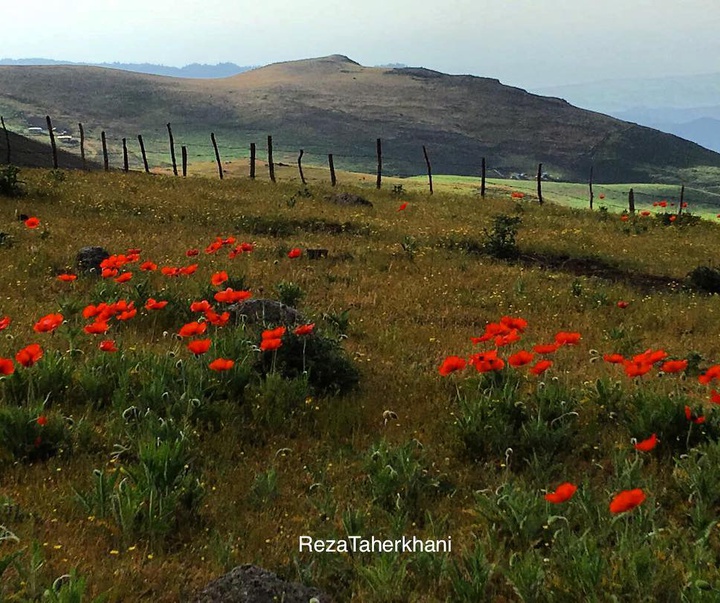 گالری عکس های طبیعت ایران از رضا طاهرخانی