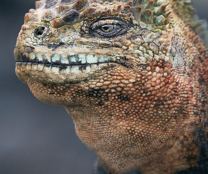 گالری عکس‌های خلاقانه تیم فلچ از بریتانیا