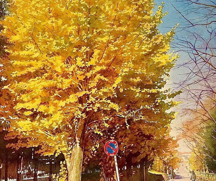 گالری نقاشی های آبرنگ تاکومی یوکوکا از ژاپن