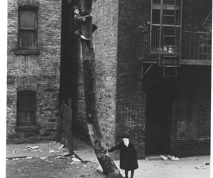 گالری عکس‌های هلن لویت از آمریکا