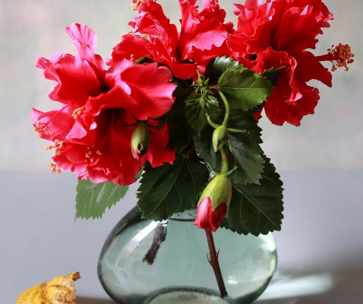 گالری عکس های خوزه ملادو از اسپانیا