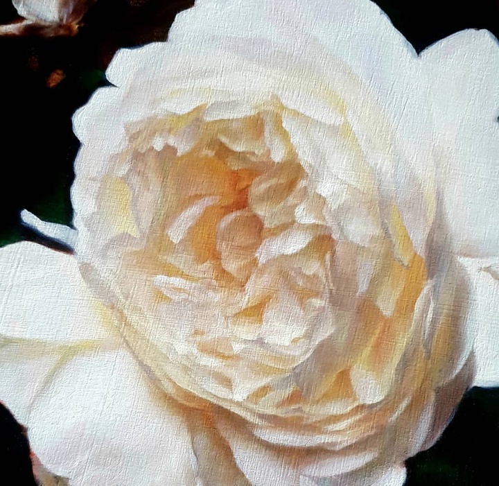 گالری نقاشی های استفانی راجرز از انگلیس