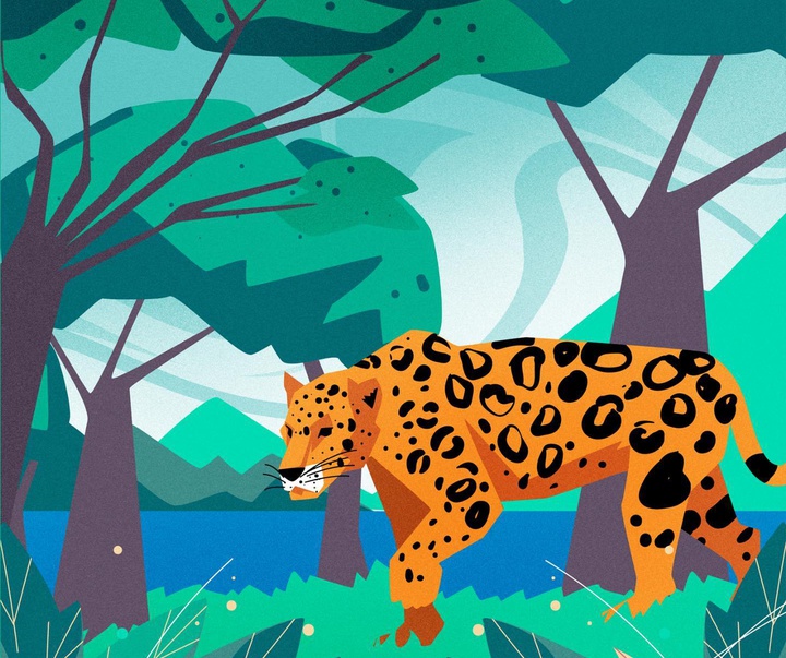 گالری تصویرسازی‌های دنیس فریتاس از برزیل